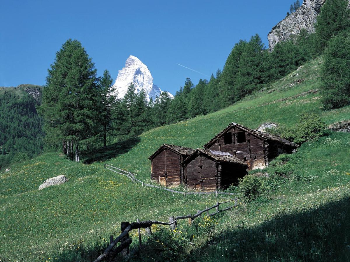 Apartment Grillon Zermatt Extérieur photo